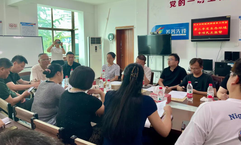 定王臺街道政協(xié)委員工作室第三季度生態(tài)環(huán)境專項(xiàng)民主監(jiān)督活動今日取得實(shí)效